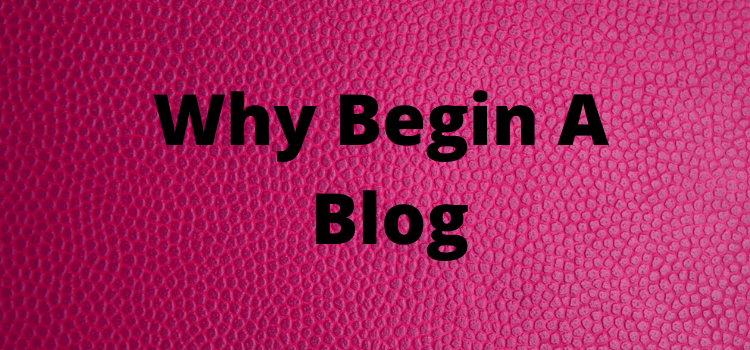 Why Begin a Blog in 2020? (To be your own boss)